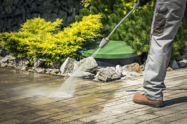 Best Solar Panel Cleaning  in Arlington Heights, IL